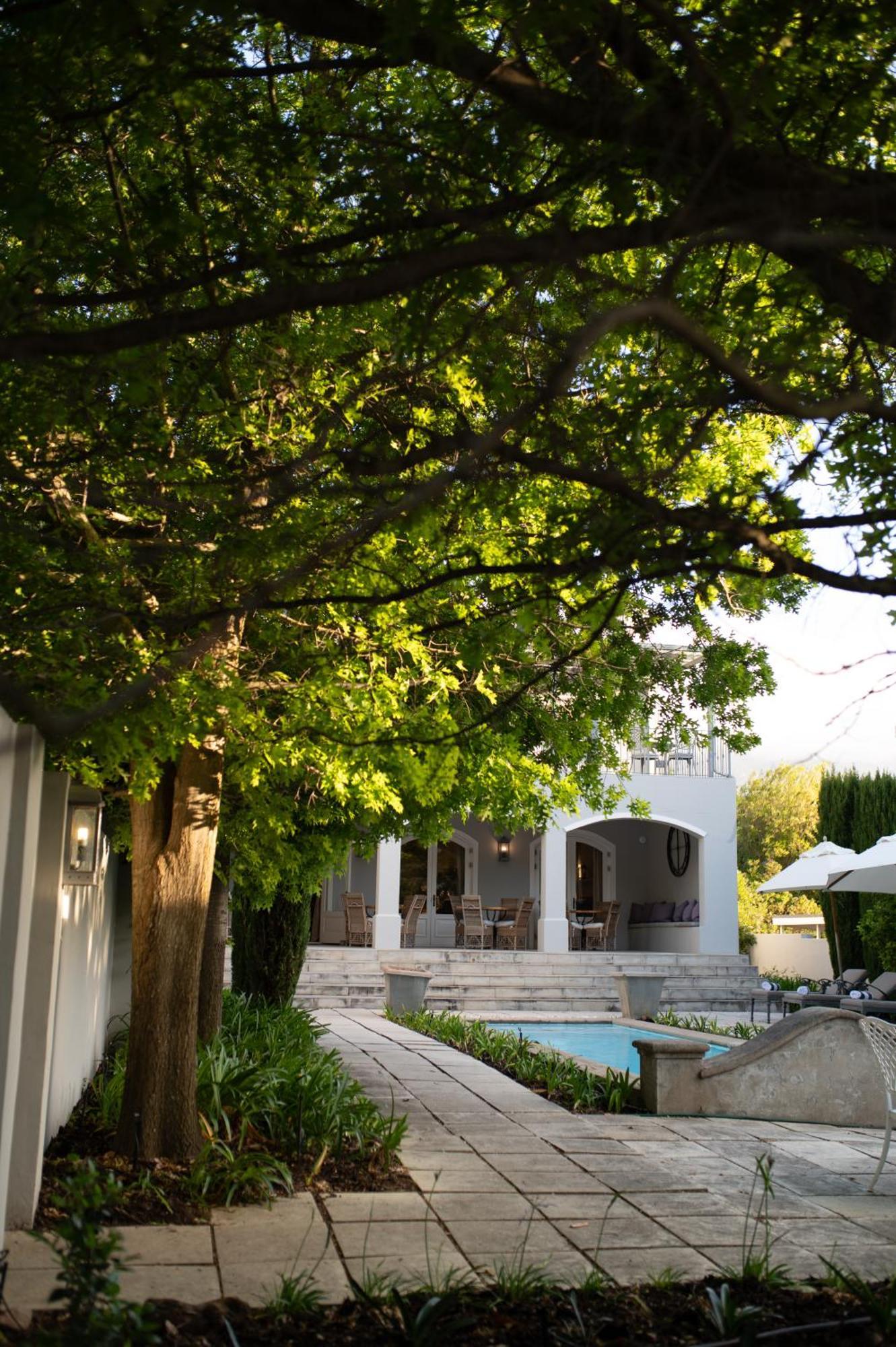 Maison D'Ail Guest House Franschhoek Eksteriør bilde